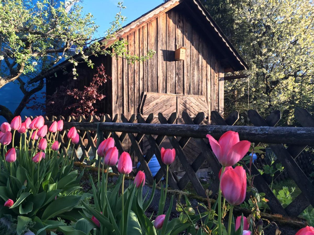 Haus Seerose Зебоден Екстер'єр фото